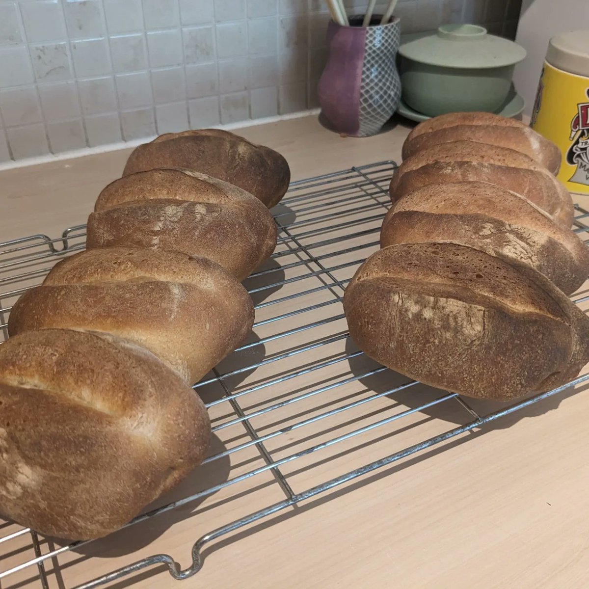 A small sprinkling of rain today, while I edited July's video essay for <a href="/IncidentalMyth/">Incidental Mythology</a> and baked some bread. There's something so wonderful about the smell of fresh bread and rain. Makes me feel like the world isn't all so bad after all.