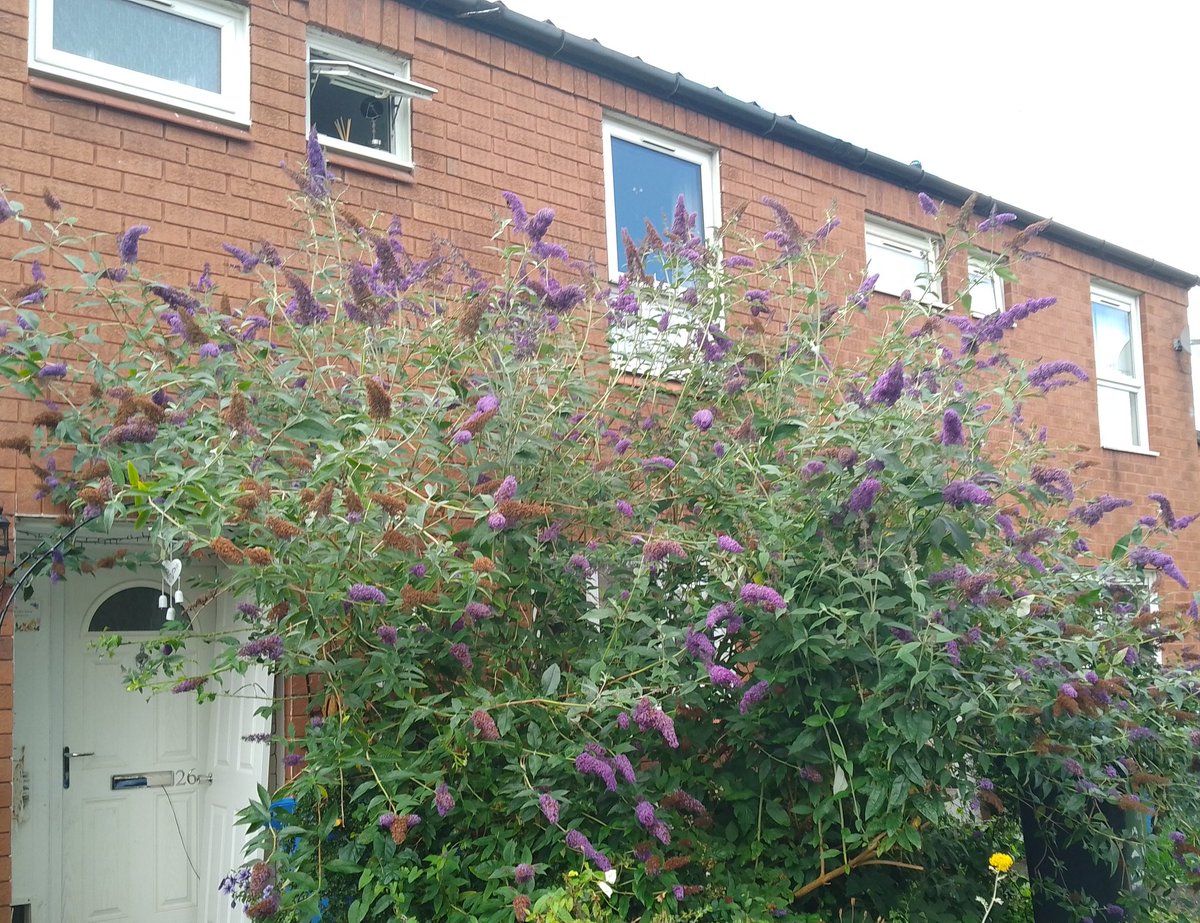 ⚒ Sam ⚒ Warrington Hammer ⚒ tweet media