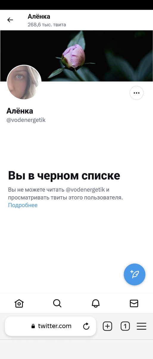 Elena Petrova tweet media
