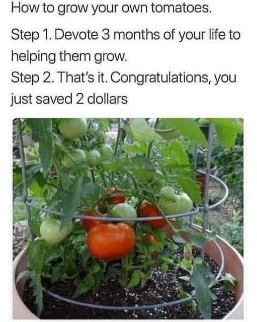 Winchester Equipment Company tweet media