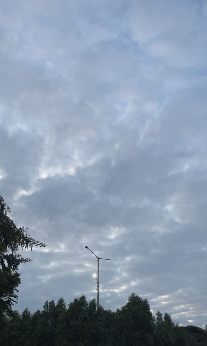 sofia_syedd's tweet image. Pretty 🥹