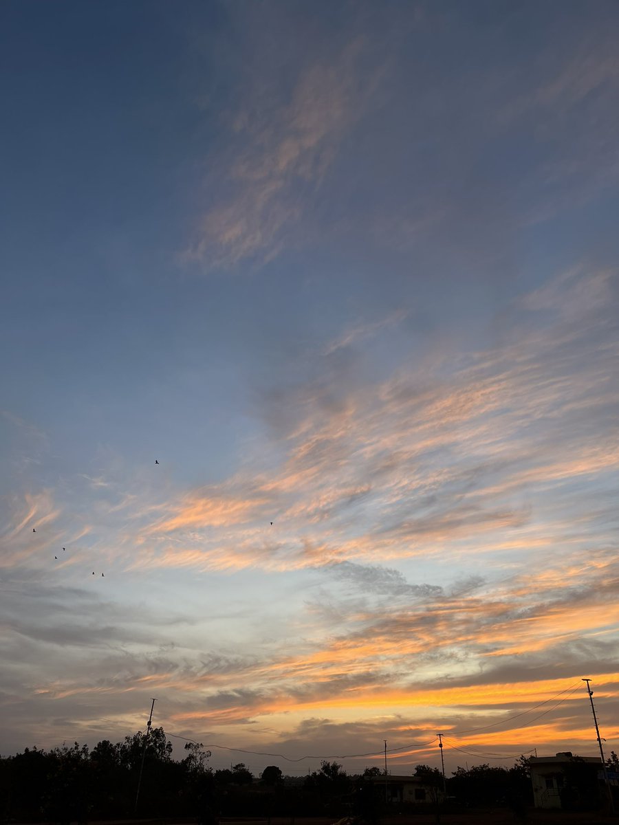 sofia_syedd's tweet image. Pretty 🥹