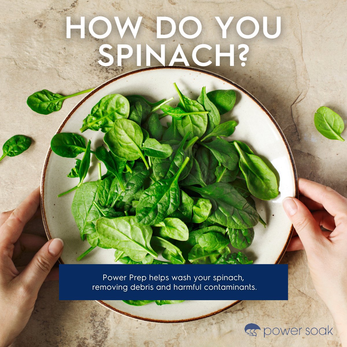 What are you cooking on #FreshSpinachDay? Whether it’s a salad, casserole or dip, Power Prep can help quickly clean every leaf, washing away debris and harmful bacteria so it stays fresh even longer.
