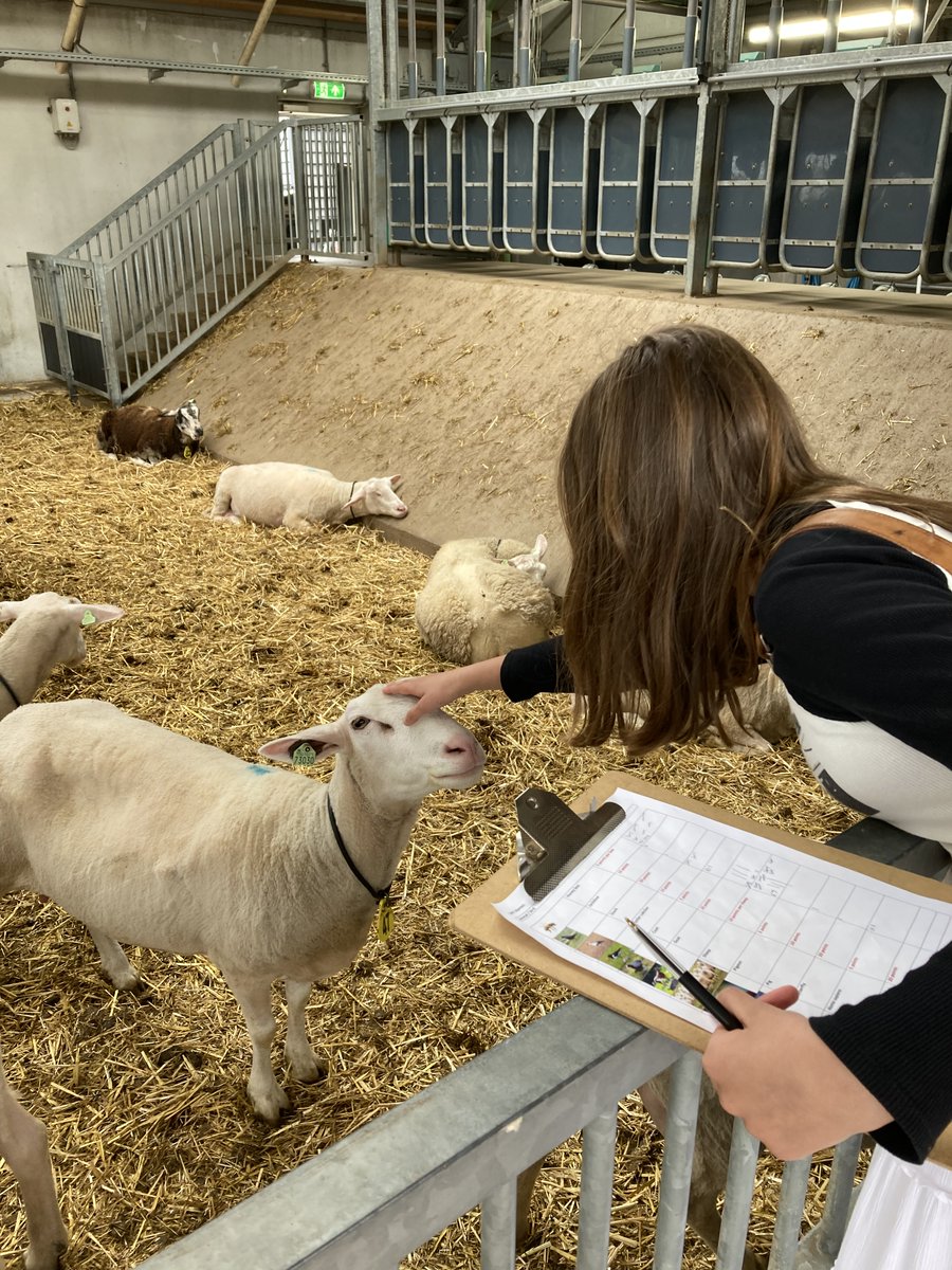 BSN Sixth Form tweet media