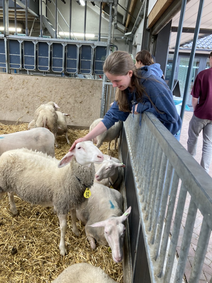 BSN Sixth Form tweet media