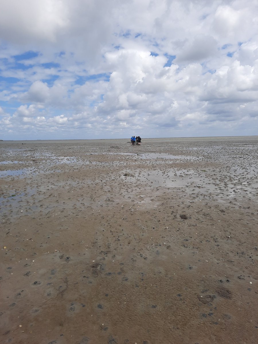 MadelonvS's tweet photo. Wadlopen met mijn biologieklas. Natuurbeleving, leren over voedselrelaties en leren over het ecologische belang van de Waddenzee. Dat doe je vooral buiten het klaslokaal! #Blueschool #Scholenaanzee #Waddenvereniging https://t.co/7NDaFIxYin