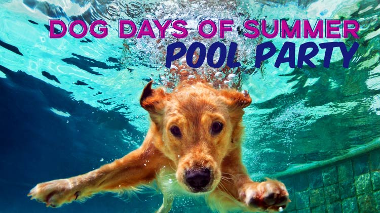 BarksnRecGTA's tweet photo. July Dog News at Barks n' Rec
Watermelon Pool Party, Save 10% Online &amp; More
https://t.co/87cmJBYWo5 https://t.co/D939dPyE2N