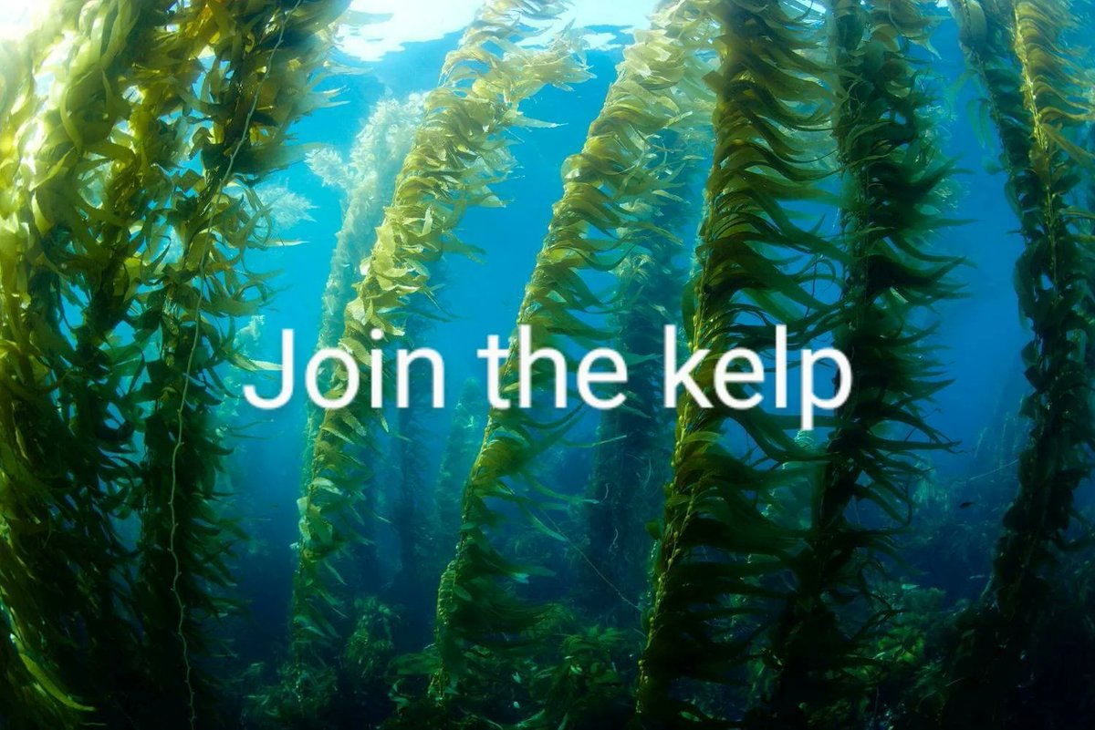 deepseaposting's tweet photo. join the kelp https://t.co/NTuGrJVu0o