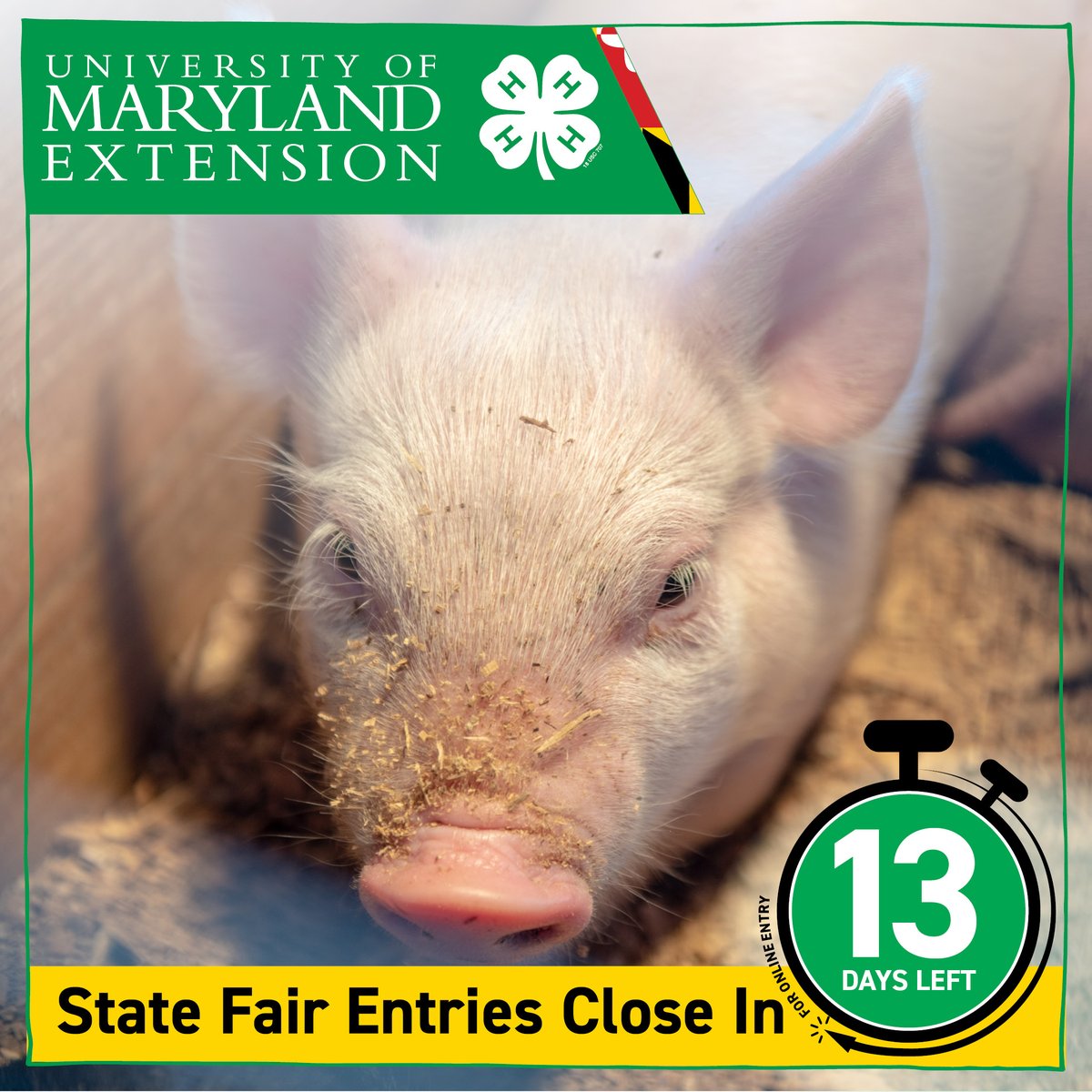 Maryland4H's tweet photo. Hurry, don't be late! There are only 13 days left to put in all your entries for the Maryland State Fair!
Due: ๐๐ฎ๐ฅ๐ฒ ๐๐, ๐๐๐๐
Go to https://t.co/ytMxAPkkpi
#4h #MarylandStateFair #3GreatWeekends #FairsAndShows #Animals #Art #STEM #Skills #Contests #tractors #engines ๐ https://t.co/9DPqITJBs9