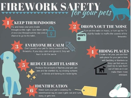 CommPlaceGR's tweet image. During this #FourthOfJuly holiday and throughout the summer - please have respect and compassion for our Vets and Pets who may not enjoy the loud noises of celebratory fireworks.
Please celebrate responsibly.