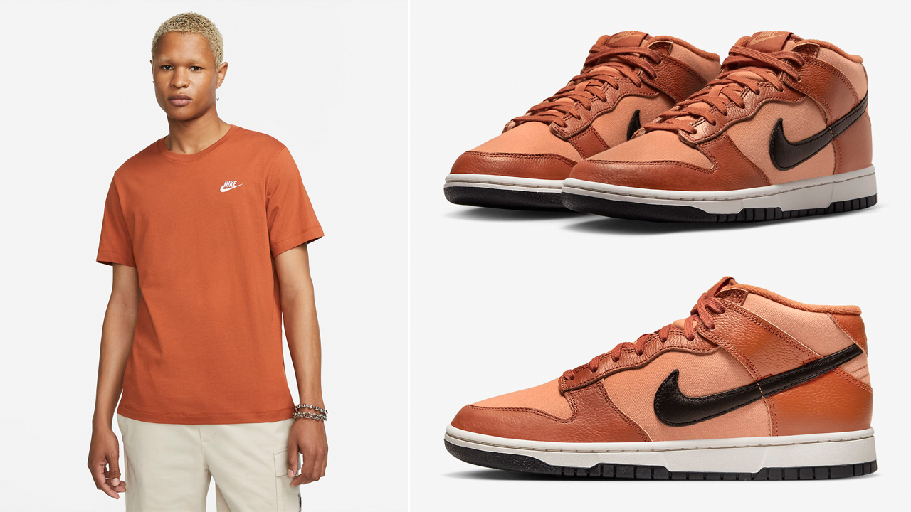 brown dunks outfit