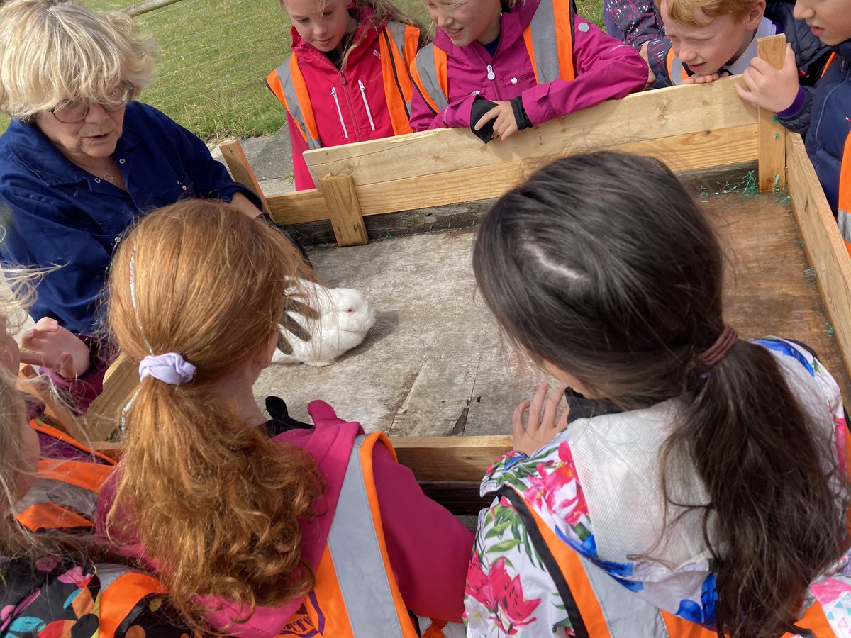 bm_liverpool's tweet photo. Our Y3/4 Animal Care club had a great time @stmhofficial farm. We got to learn all about their animals and apply what we learned in our club…we loved seeing the donkeys, chickens, ducks and much more #BMlovesanimalcare #INSPIREplus 🐴🐰🐏🪿 https://t.co/XK4uEgMOWG