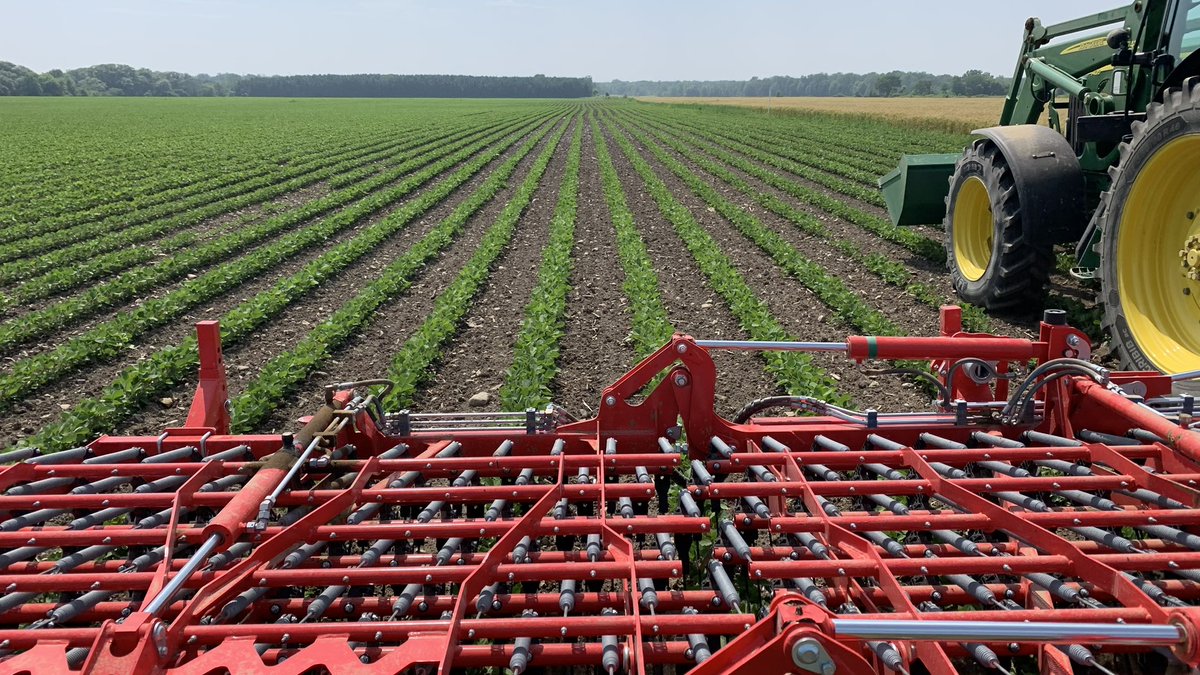 farmpowerinc's tweet photo. Here are some results from our customers @einboeckat Aerostar Fusions on organic beans. All these pictures have only had Fusion (tine weeder) passes. Still a ways to go but things are looking promising 👍

#einbock #fusion #einbock #organic #beans #ontag #weedcontrol https://t.co/ORypIgbaUq