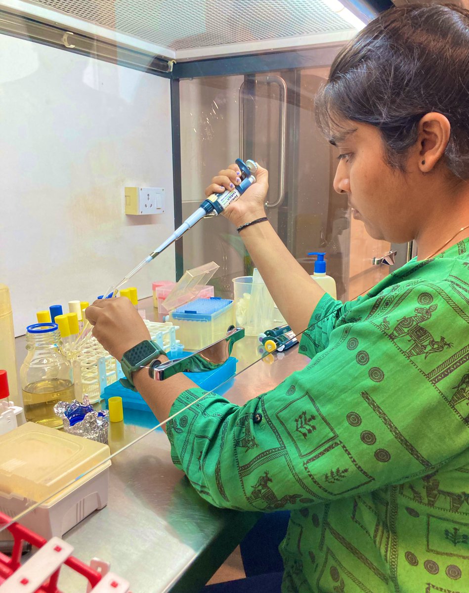 GayathriPriya99's tweet image. (2/2)

We were also encouraged to  initiate an experiment where we test the concepts we learn!Excited to see the outcomes! (Pic: Me sitting in a hood after 3 years!)

#pathogenevolution #microbiology