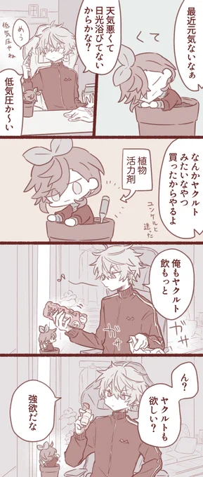 🌱の観察日記14 