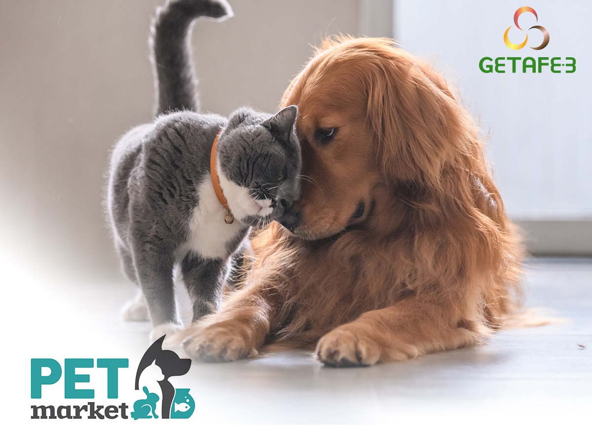 𝑳𝒐 𝒎𝒆𝒋𝒐𝒓 𝒑𝒂𝒓𝒂 𝒕𝒖 𝒎𝒂𝒔𝒄𝒐𝒕𝒂🦮
En Pet Market del Centro Comercial Getafe3 tienes todo lo que necesitas para ofrecerle siempre los mejores cuidados a tu querida mascota🐾