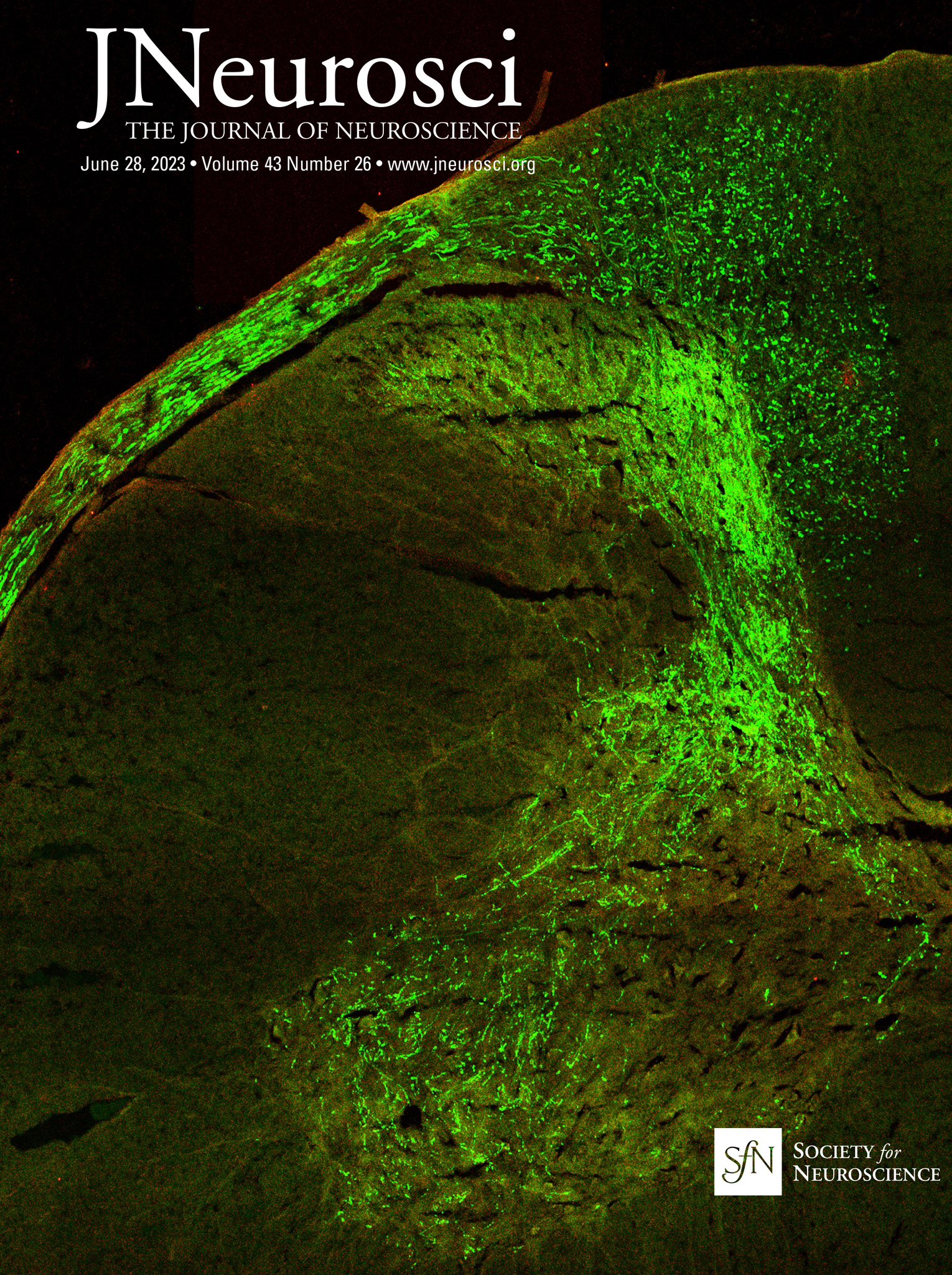 Veselina Petrova on X: &ldquo;Very excited to see our work on the cover 