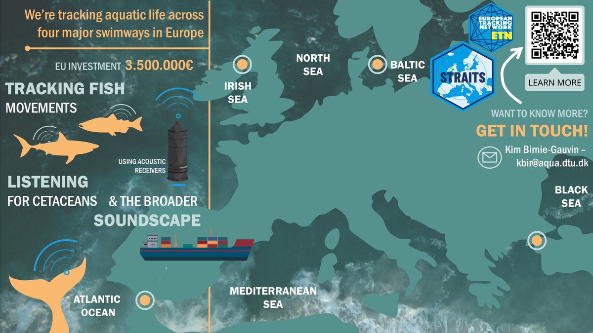 WE'RE LISTENING 🐟😍🤓

The #STRAITSproject is tracking fish w/ #acoustic telemetry, &amp; listening for cetaceans and the broader soundscape 🐋🛳️ ACROSS THE CONTINENT!

You'll be tagging soon? Think your fish might swim by these arrays? Get in touch so we can keep you in the loop 🙌