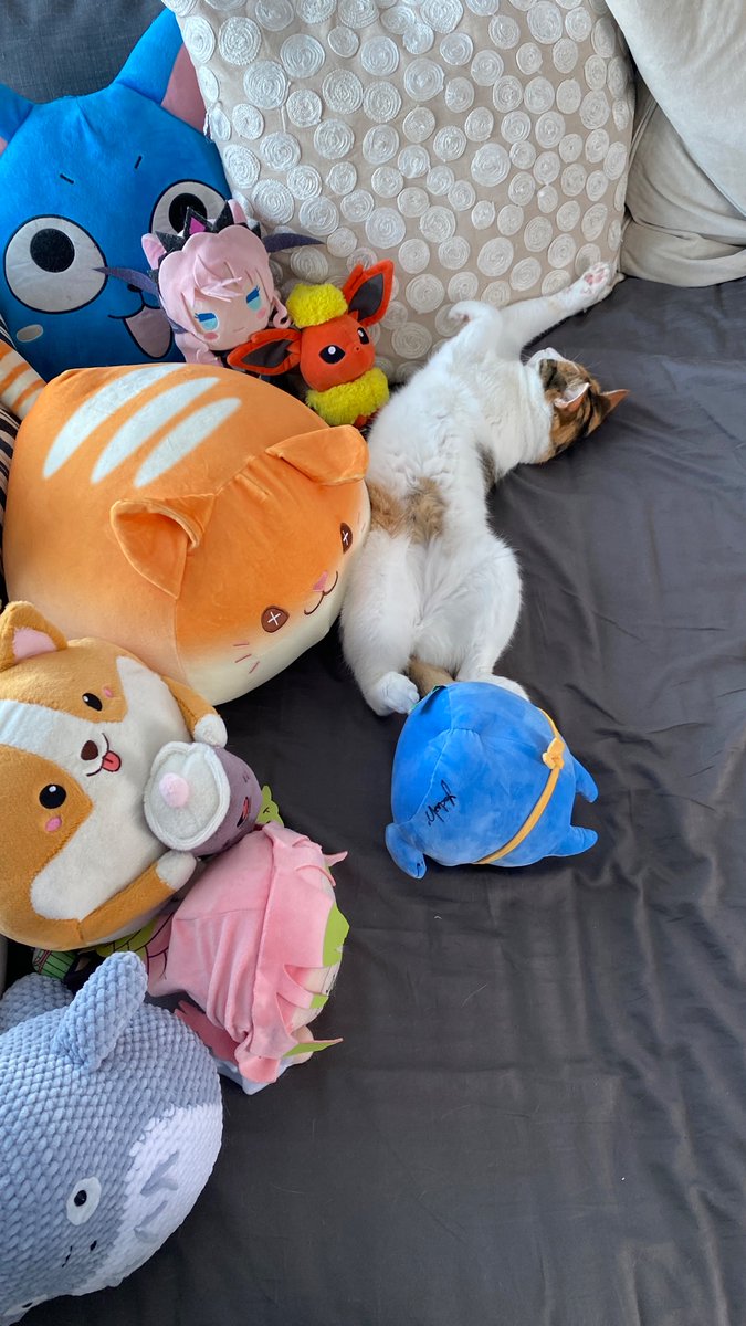 Ranea_42's tweet photo. One new addition to the family! ๐ Cat approves as well ๐ค
#yoccimerch https://t.co/vjAYgU3M2q