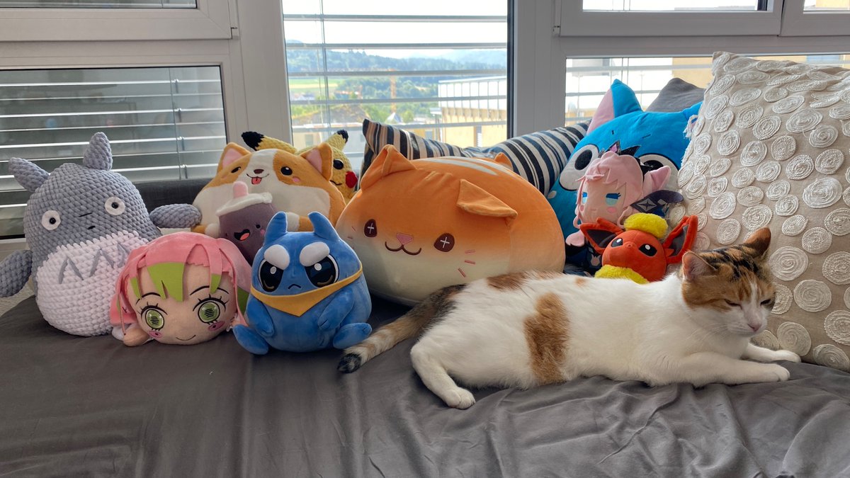 Ranea_42's tweet photo. One new addition to the family! ๐ Cat approves as well ๐ค
#yoccimerch https://t.co/vjAYgU3M2q