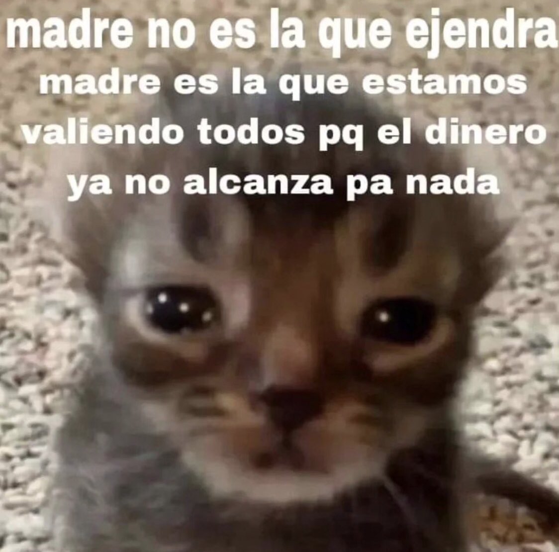 norelenita's tweet photo. Días! https://t.co/54f1Cjcwa9