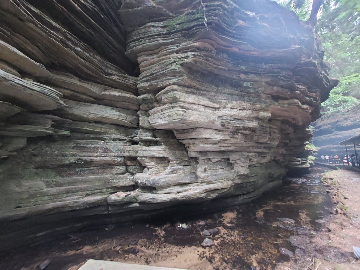 Jamie Kaczor tweet media