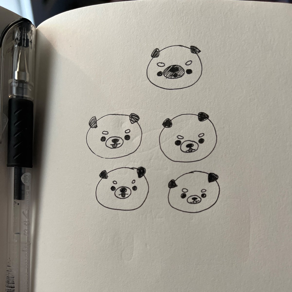Methodical dog studies