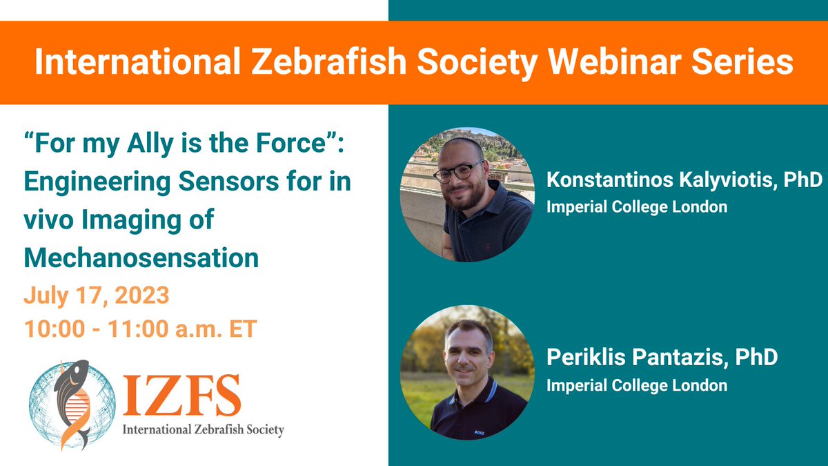 InfoIzfs's tweet photo. Two weeks until the next IZFS Webinar! Join us for “For my Ally is the Force”: Engineering Sensors for in vivo Imaging of Mechanosensation. Hosted by Drs. Pantazis & Kalyviotis on July 17 from 10am - 11am ET. Learn more and register at: https://t.co/8EDrY9SjkR #IZFSWebinar2023 https://t.co/BtRzfrIisy