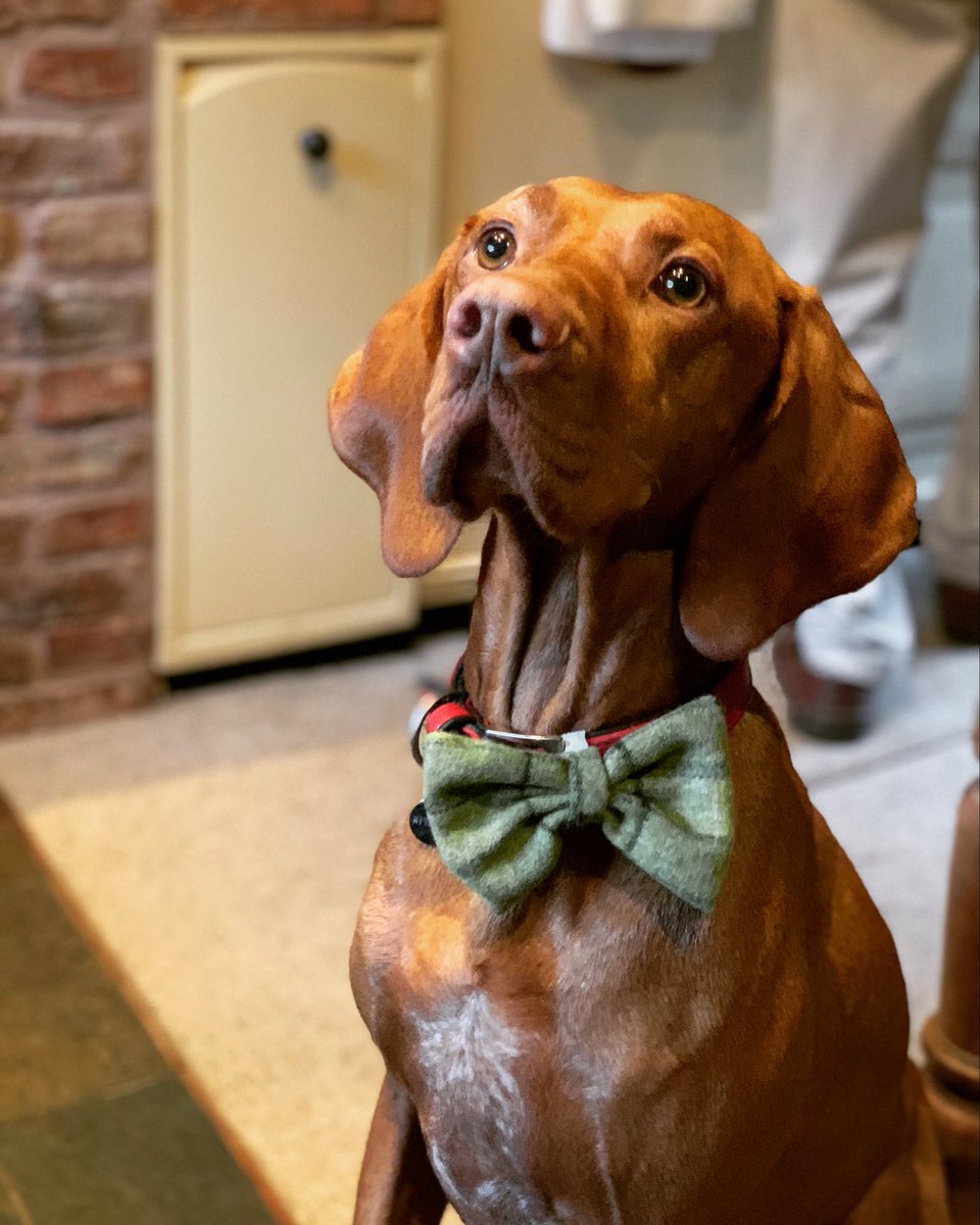 Simon Fleming 🛠 tweet media