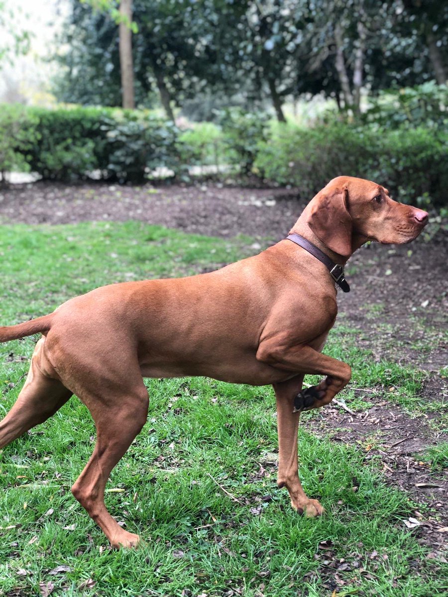 Simon Fleming 🛠 tweet media