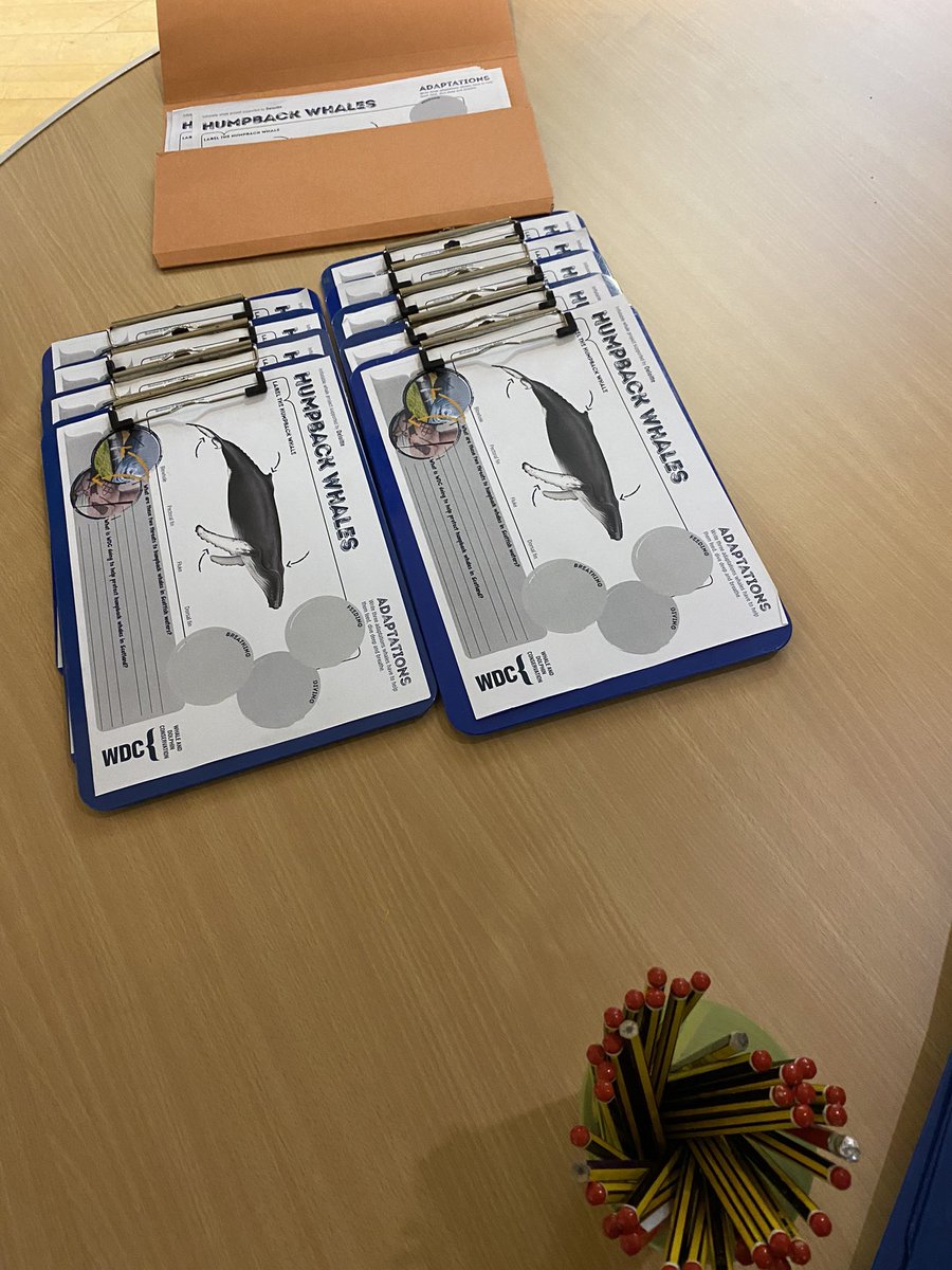 StMWellbeingHub's tweet photo. Hope the Whale made a stop off at St Machar today on its way to the Scottish Dolphin Centre. https://t.co/7NLpAqGPgf