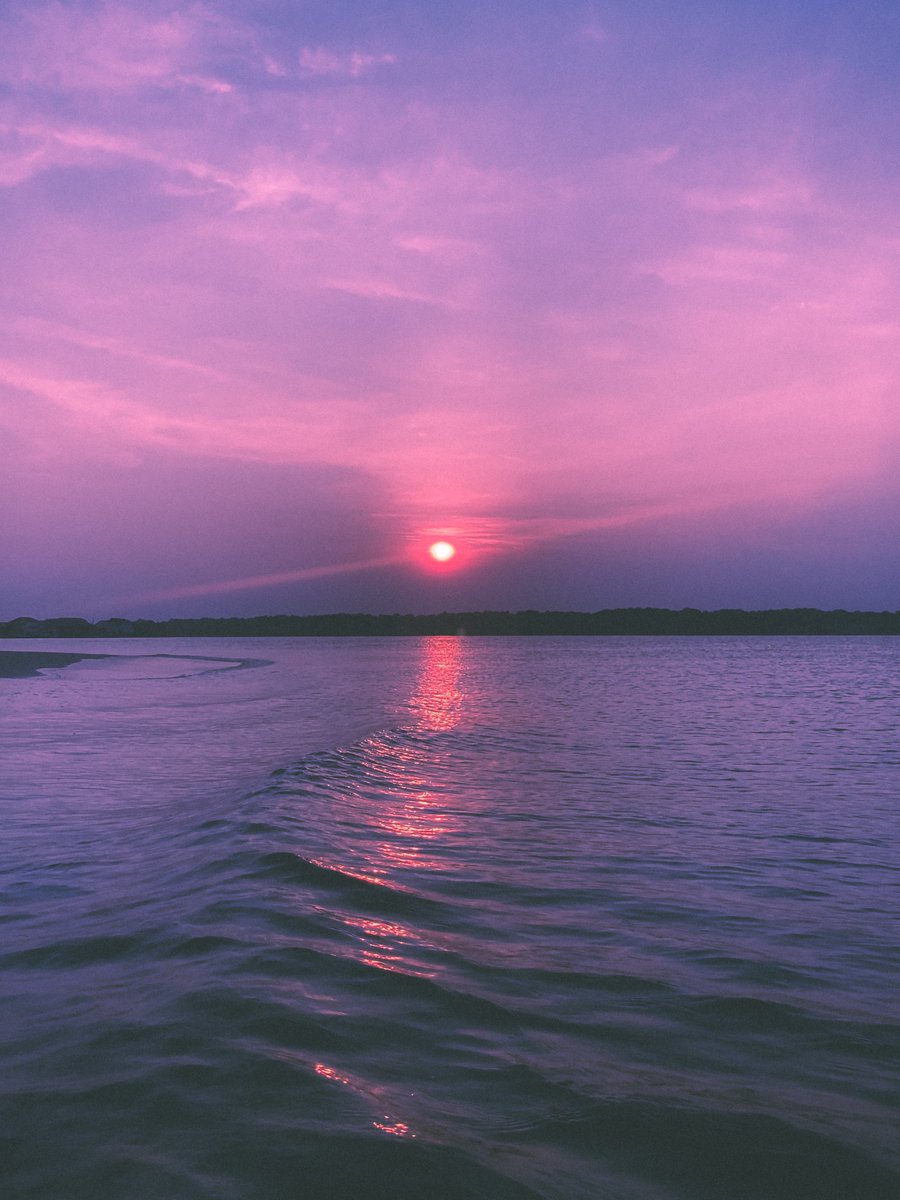 bliss