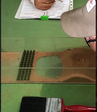 EpicExminster's tweet photo. Year 5 had a great day last Thursday when they visited Dawlish Warren. They were there to undertake various tasks linked to their geography topic - Should we let Dawlish Warren be washed away? https://t.co/ArDiKaXIju