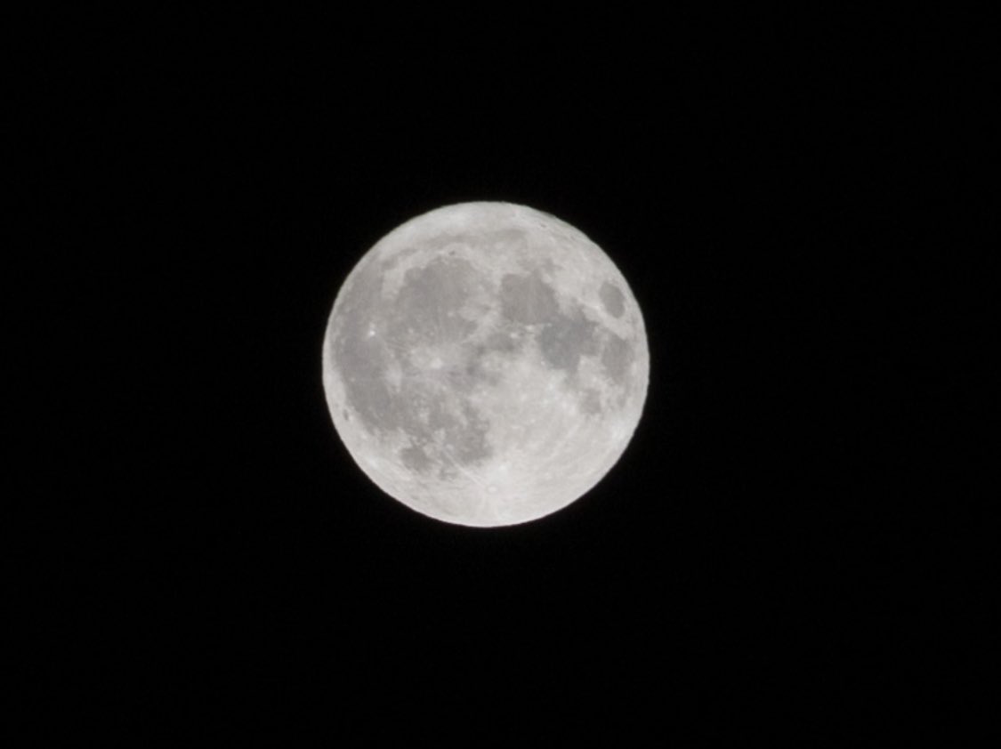 ansan_0608's tweet photo. #このプロ
#大和田企画
バックムーン🌕を見ながら帰宅したら届いてました☺️

丁寧なお手紙を読んで、改めて優しいファンの方が多い理由がわかったような気がします

なんだか胸がいっぱいになりました https://t.co/VAuiG0kj3S