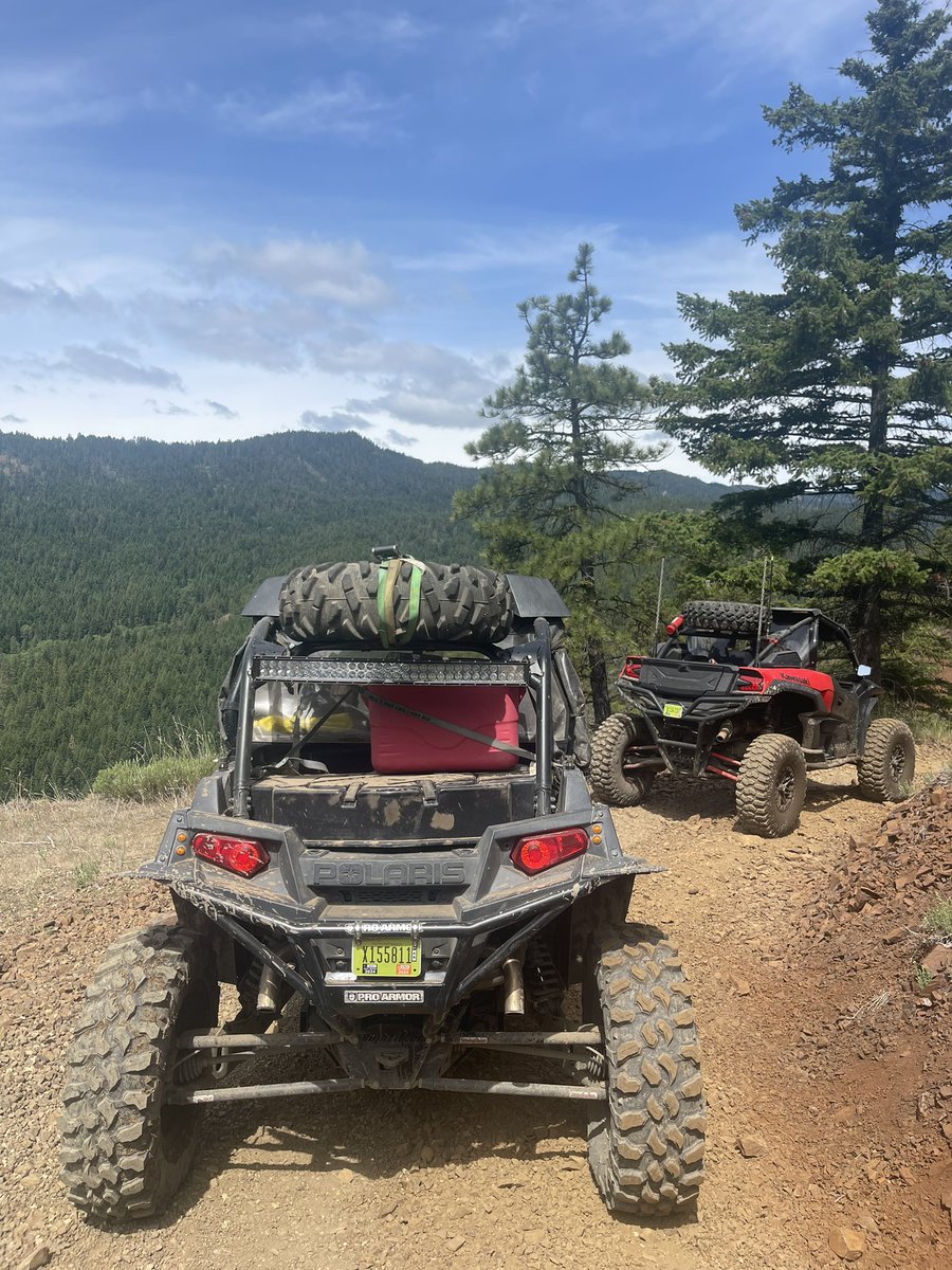 MidRdAdventure's tweet image. 