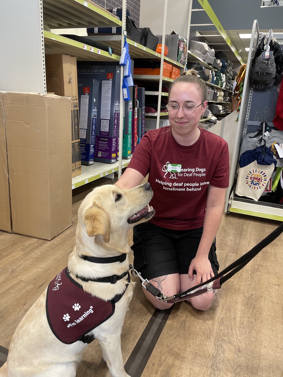 CooteMike's tweet photo. ⁦@PetsAtHomeFdtn⁩ Slough team have enthusiastically kicked off this years fundraising for ⁦@HearingDogs⁩ Looking forward to an exciting and rewarding July! ⁦@VolTeamHDogs⁩ ⁦@KGHearingDogs⁩ https://t.co/aR1PzTZNwJ