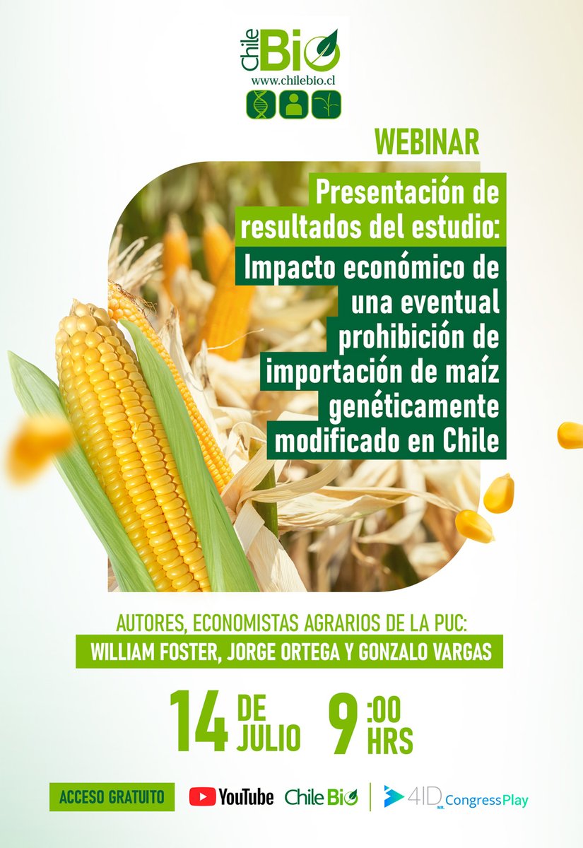 ChileBio_AG's tweet photo. No te pierdas nuestro próximo webinar gratuito: "Presentación de resultados del estudio: Impacto económico de una eventual prohibición de importación de maíz genéticamente modificado en #Chile".

- Enlace de inscripción: https://t.co/6h33Ie6EiO

#biotecnologia #transgenico https://t.co/K1HJtjyBD4
