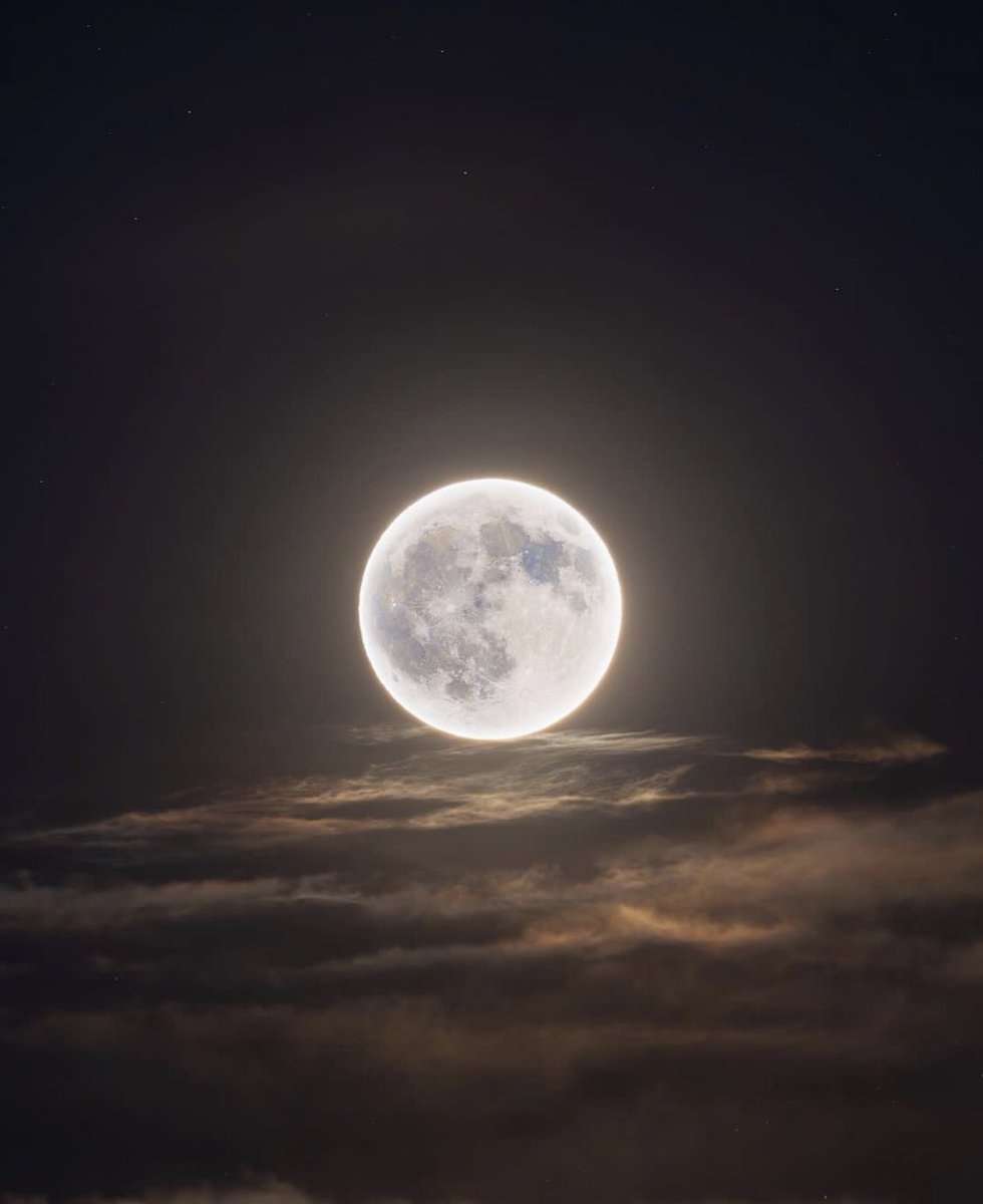 MOON LOVER tweet media