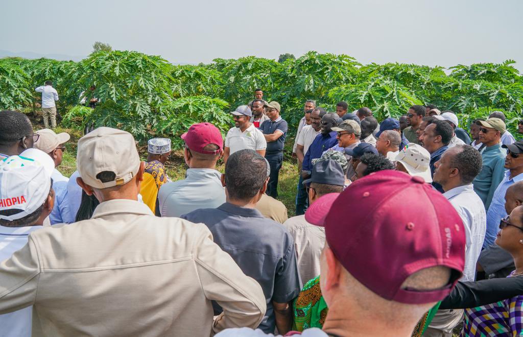 benjimk's tweet photo. Ici le premier Ministre Éthiopien 🇪🇹 @AbiyAhmedAli dans une ferme des fruit a tenu un séminaire avec comme thème “Plantons notre avenir aujourd'hui...” À la suite d'une première phase réussie au cours de laquelle ils ont planté 25 milliards de semis 🌱 (arbres fruitier), avec comme objectif de faire de l’Ethiopie un grand exportateur des fruits 🍉 🍎 très bientôt