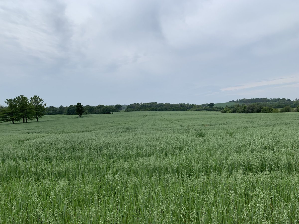 Hornet time <a href="/NufarmCA/">Nufarm Canada</a>