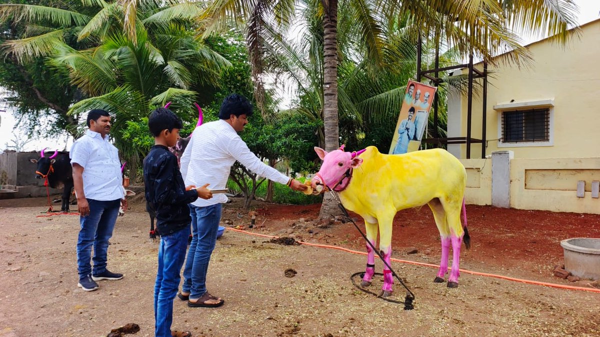 GopichandP_MLA's tweet photo. महाराष्ट्रीयन बेंदूर सणानिमित्त सर्व शेतकरी बंधू-भगिनींना मनःपूर्वक शुभेच्छा!

#बेंदूर https://t.co/FCGFU72hAR