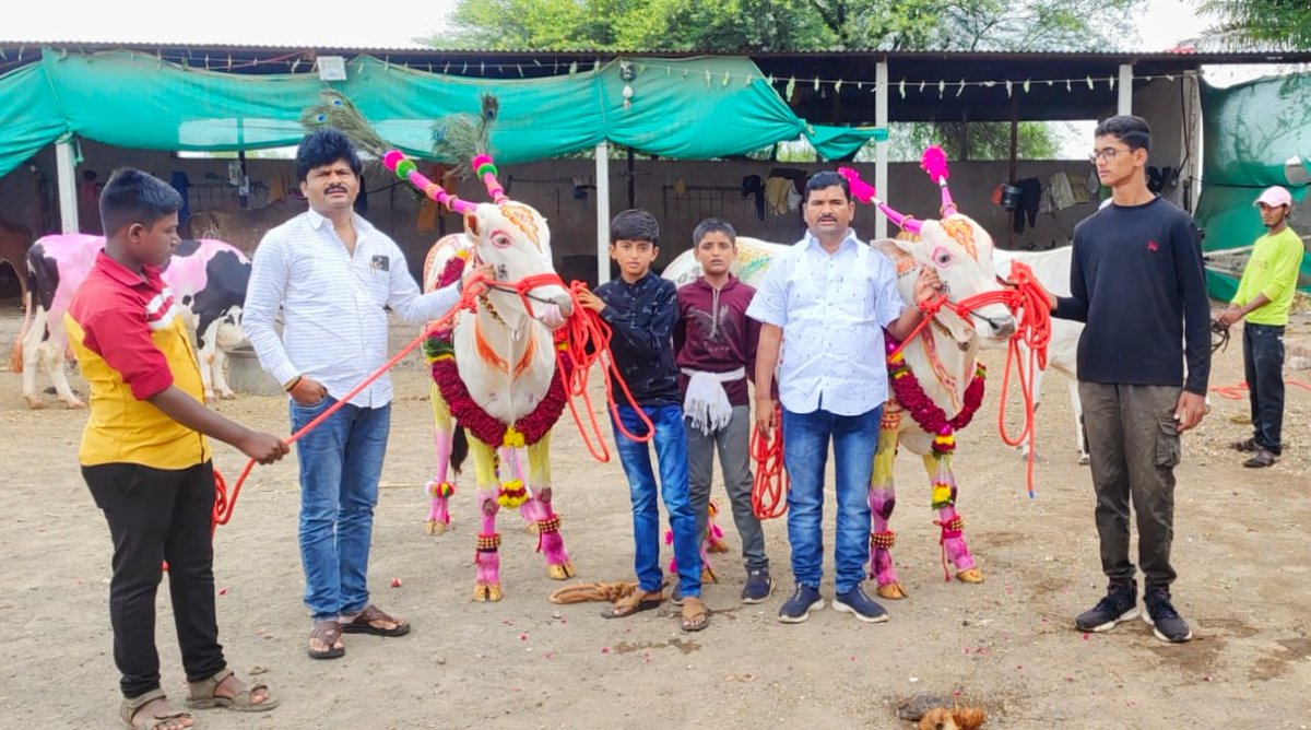 GopichandP_MLA's tweet photo. महाराष्ट्रीयन बेंदूर सणानिमित्त सर्व शेतकरी बंधू-भगिनींना मनःपूर्वक शुभेच्छा!

#बेंदूर https://t.co/FCGFU72hAR