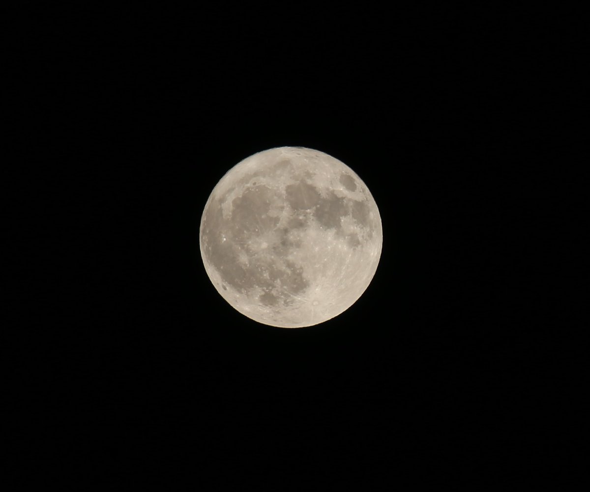 No.00826Oc(number-な.826.pa-fu-mu) tweet media