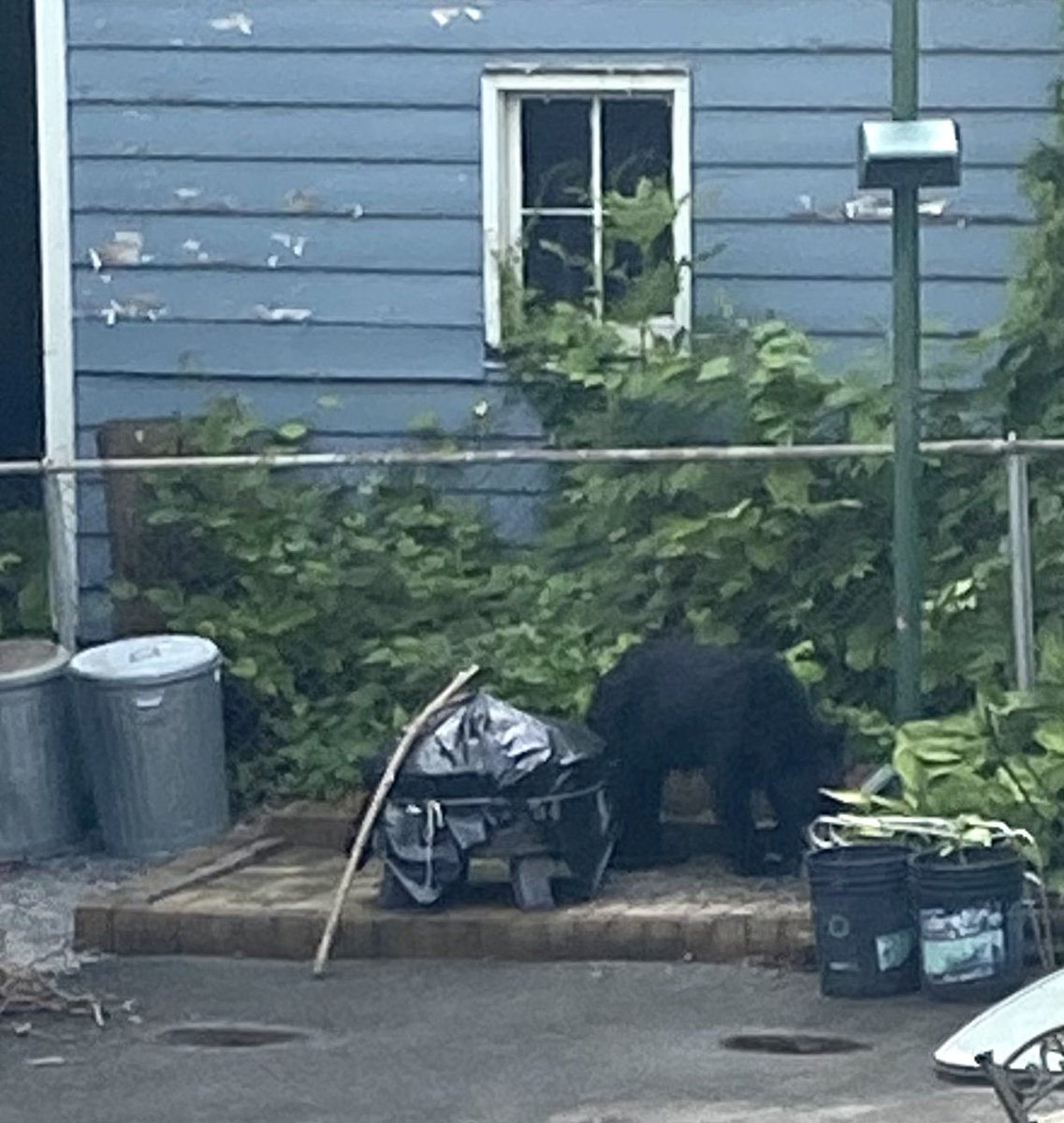 Steve Smith tweet media