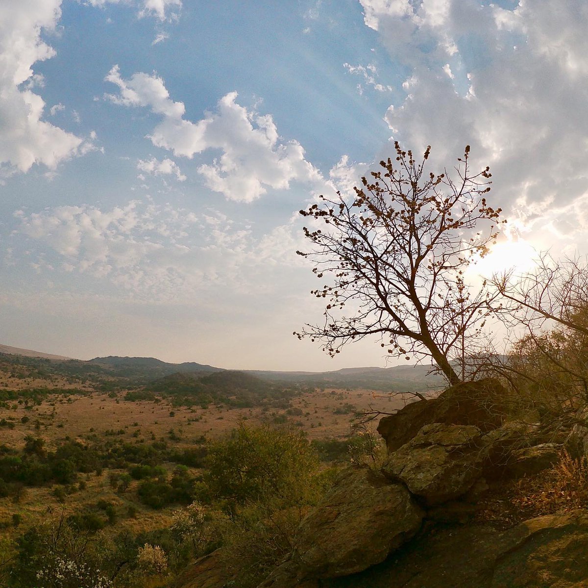 Our Swempie Luxury Tent is available again this weekend!

Book it now before it's gone at bsorah.com or email us at info@bsorah.com.

#Harties #Magalies #Glamping #nature #retreat #getaway #luxury #tent
