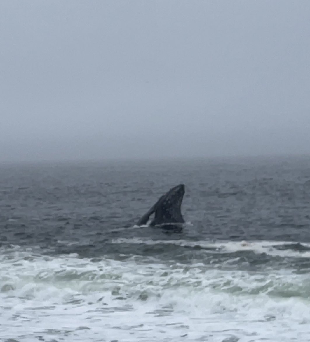 Newtown Elementary tweet media