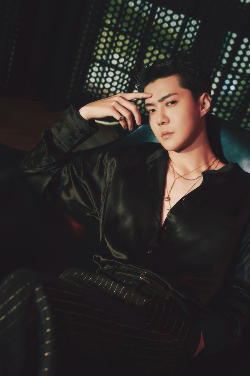 Dior on X: The picture of elegance upon arrival, Sehun, Dior ambassador in  Korea, joined the lineup of #StarsinDior attending the just-ended  #DiorMenFall 2023 show by Kim Jones  held before the
