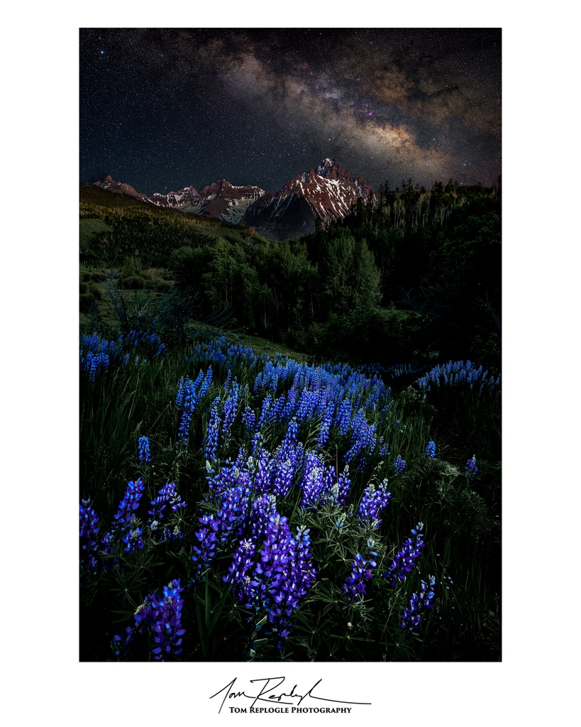 Lupine Dream | Colorado | June 2023

#throughmylens #lupine #coloradowildflowers #wildflowers #milkyway #mountain #sanjuanmountains #landscapephotography #landscape_lovers #landscape_captures #landscapelovers #landscape #beautifullandscape #naturephotography #naturelovers