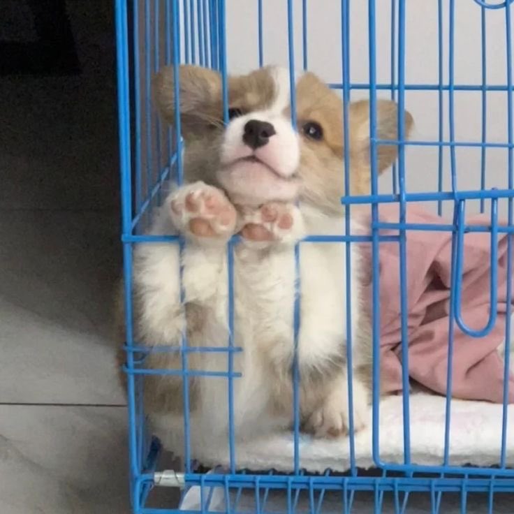 ขอเล่นกับใจพี่ซ๋าวนอยสิ