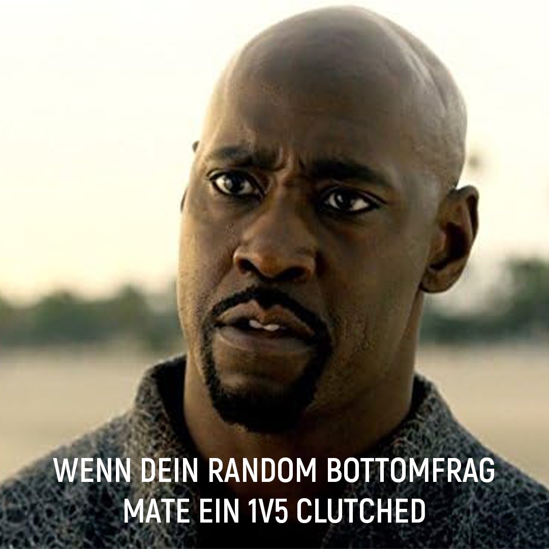 GermanMonkeys tweet media